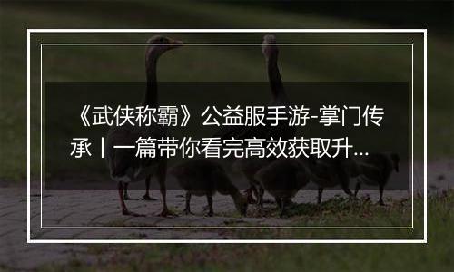 《武侠称霸》公益服手游-掌门传承丨一篇带你看完高效获取升星材料的窍门
