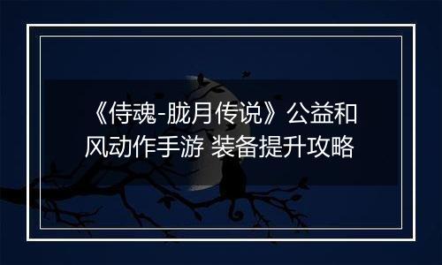 《侍魂-胧月传说》公益和风动作手游 装备提升攻略