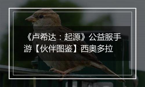 《卢希达：起源》公益服手游【伙伴图鉴】西奥多拉