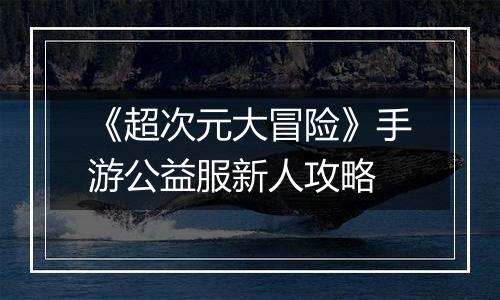 《超次元大冒险》手游公益服新人攻略