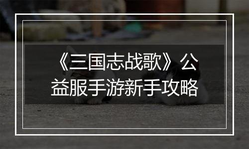 《三国志战歌》公益服手游新手攻略