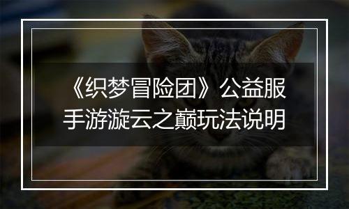 《织梦冒险团》公益服手游漩云之巅玩法说明