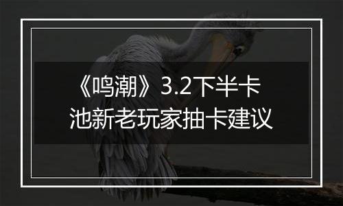 《鸣潮》3.2下半卡池新老玩家抽卡建议