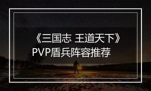 《三国志 王道天下》PVP盾兵阵容推荐