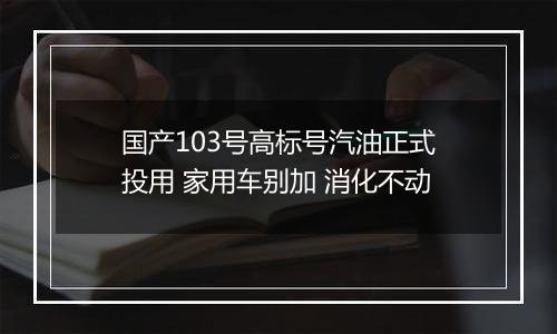 国产103号高标号汽油正式投用 家用车别加 消化不动