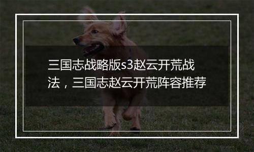 三国志战略版s3赵云开荒战法，三国志赵云开荒阵容推荐