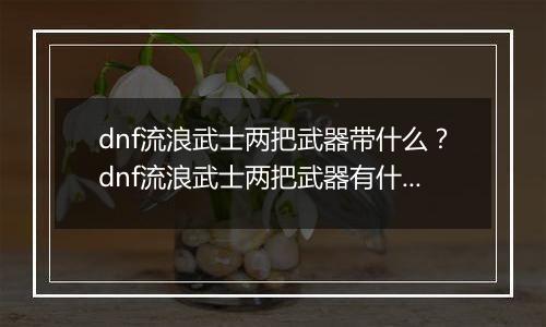 dnf流浪武士两把武器带什么？dnf流浪武士两把武器有什么用