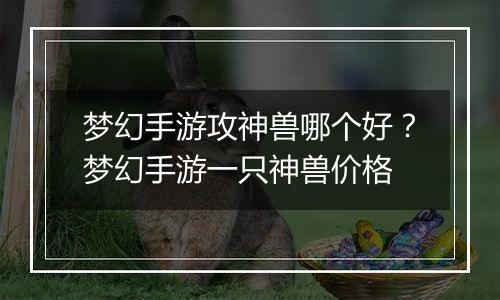 梦幻手游攻神兽哪个好？梦幻手游一只神兽价格