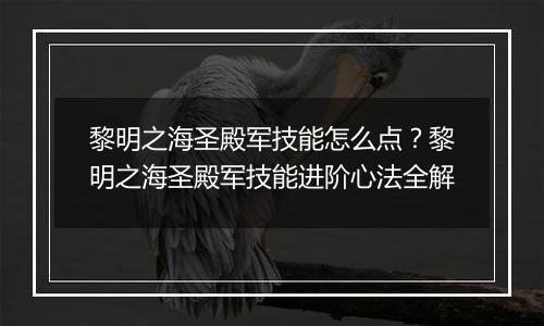 黎明之海圣殿军技能怎么点？黎明之海圣殿军技能进阶心法全解