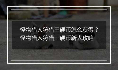 怪物猎人狩猎王硬币怎么获得？怪物猎人狩猎王硬币新人攻略