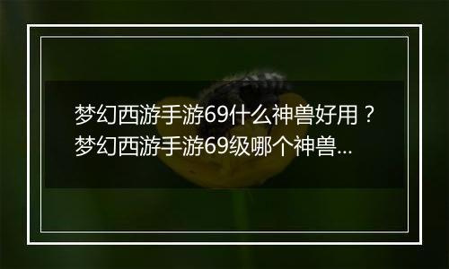 梦幻西游手游69什么神兽好用？梦幻西游手游69级哪个神兽好用