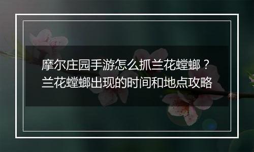 摩尔庄园手游怎么抓兰花螳螂？兰花螳螂出现的时间和地点攻略