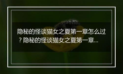 隐秘的怪谈猫女之夏第一章怎么过？隐秘的怪谈猫女之夏第一章游戏图文通关攻略