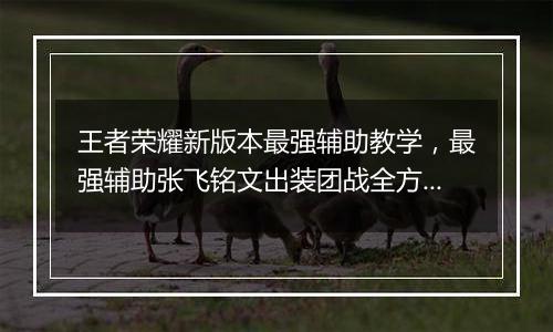 王者荣耀新版本最强辅助教学，最强辅助张飞铭文出装团战全方位教学攻略
