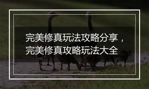完美修真玩法攻略分享，完美修真攻略玩法大全