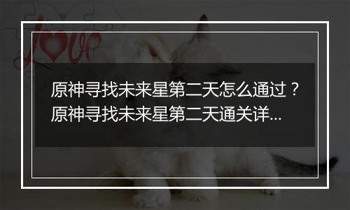 原神寻找未来星第二天怎么通过？原神寻找未来星第二天通关详细攻略