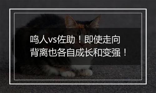 鸣人vs佐助！即使走向背离也各自成长和变强！