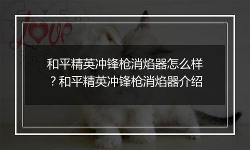 和平精英冲锋枪消焰器怎么样？和平精英冲锋枪消焰器介绍