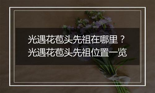 光遇花苞头先祖在哪里？光遇花苞头先祖位置一览