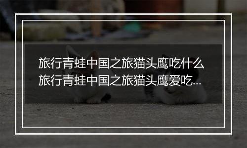 旅行青蛙中国之旅猫头鹰吃什么 旅行青蛙中国之旅猫头鹰爱吃食物一览