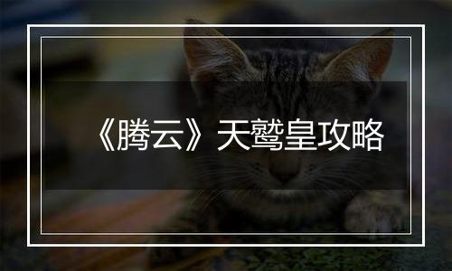 《腾云》天鹫皇攻略