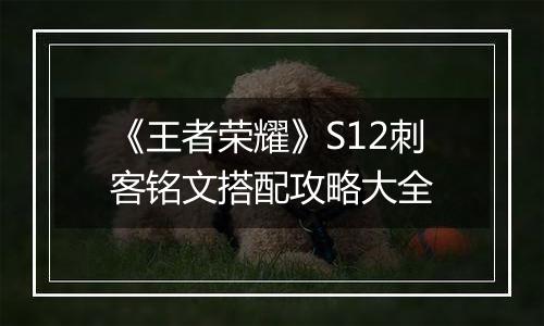 《王者荣耀》S12刺客铭文搭配攻略大全