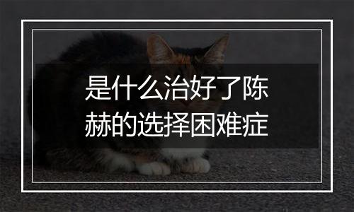 是什么治好了陈赫的选择困难症