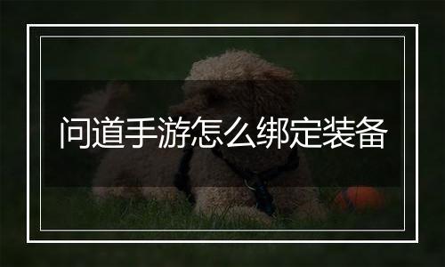 问道手游怎么绑定装备