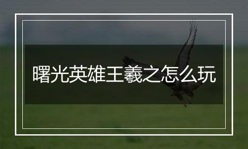 曙光英雄王羲之怎么玩