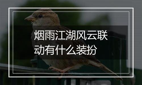 烟雨江湖风云联动有什么装扮