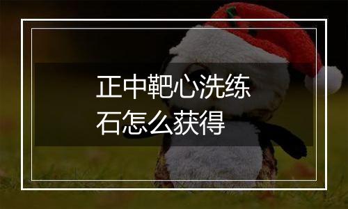 正中靶心洗练石怎么获得