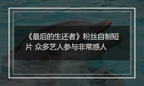《最后的生还者》粉丝自制短片 众多艺人参与非常感人