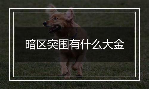 暗区突围有什么大金