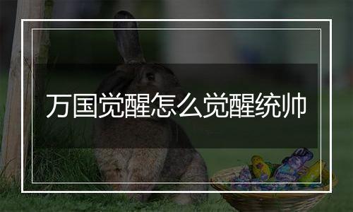 万国觉醒怎么觉醒统帅