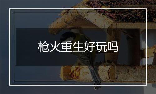 枪火重生好玩吗