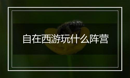 自在西游玩什么阵营