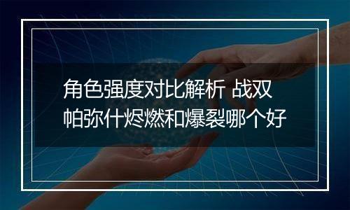 角色强度对比解析 战双帕弥什烬燃和爆裂哪个好