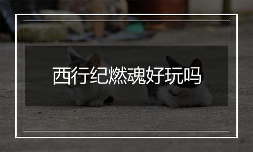 西行纪燃魂好玩吗