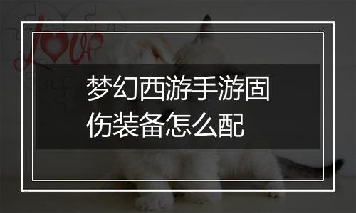 梦幻西游手游固伤装备怎么配