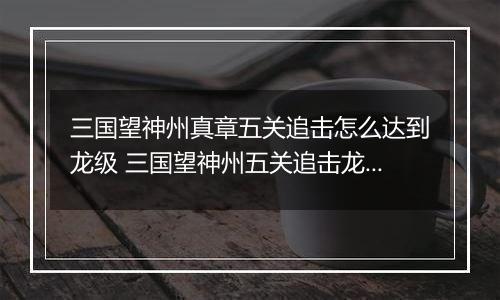 三国望神州真章五关追击怎么达到龙级 三国望神州五关追击龙级攻略