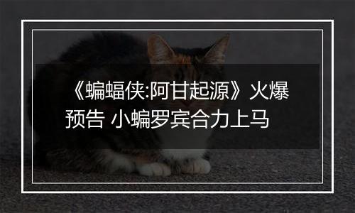 《蝙蝠侠:阿甘起源》火爆预告 小蝙罗宾合力上马
