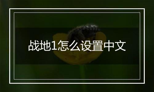 战地1怎么设置中文