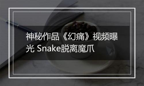 神秘作品《幻痛》视频曝光 Snake脱离魔爪