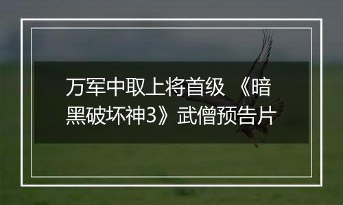 万军中取上将首级 《暗黑破坏神3》武僧预告片