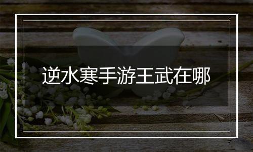 逆水寒手游王武在哪