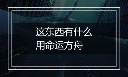 这东西有什么用命运方舟