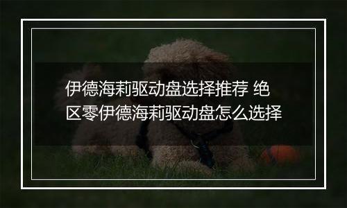 伊德海莉驱动盘选择推荐 绝区零伊德海莉驱动盘怎么选择