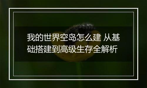 我的世界空岛怎么建 从基础搭建到高级生存全解析