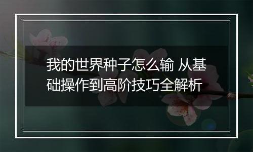 我的世界种子怎么输 从基础操作到高阶技巧全解析
