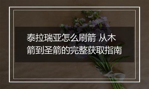 泰拉瑞亚怎么刷箭 从木箭到圣箭的完整获取指南